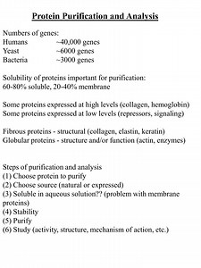 Protein Purification and Analysis - SlideServe