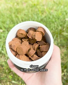 4.1K views · 7.4K reactions | Over 400,000 dog parents trust Wuffes to help relieve their dog's joint pain. See an improvement in your dog's joint health in as little as 3 weeks, and if you're not happy after 90 days of use you're covered by our 100% money back guarantee!  Clean ingredients.  Highly potent and powerful.  Tested by vets and pet scientists.  4.8/5 ⭐️ on Trustpilot. Don't sit on the sidelines while your dog secretly suffers | Snow Dogs Vlogs | Facebook