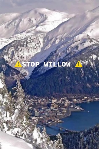 ⚠️STOP THE WILLOW PROJECT⚠️ #stopwillow #stopwillowproject #saveearth🌍 #saveplanetearth #viral