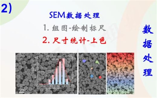 SEM数据处理（2）-尺寸统计-样品上色