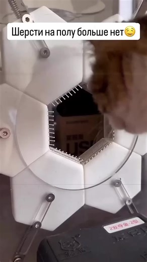 Behind the Scenes of Stranger Things 5 Documentary