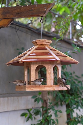 Turn simple wood into a charming bird feeder with this easy DIY project. Perfect for beginners and nature lovers! #DIYBirdFeeder #WoodCrafts #BirdFeederIdea #DIYWoodworking #NatureDIY | Woodworking Tools