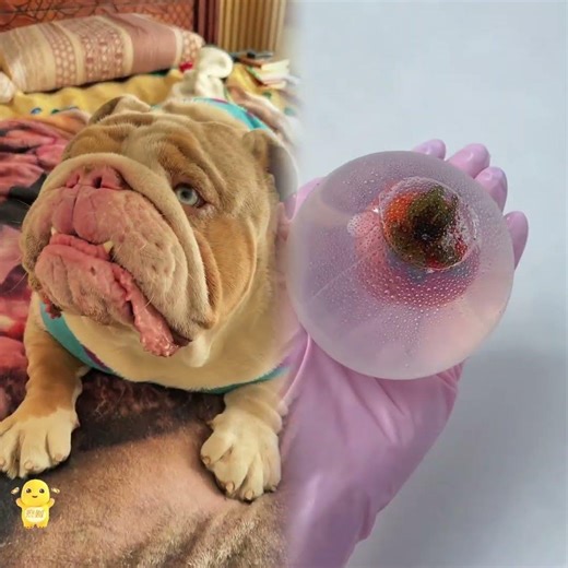 Phillies land All-Star closer Jhoan Duran ahead of MLB trade deadline 👀🔥