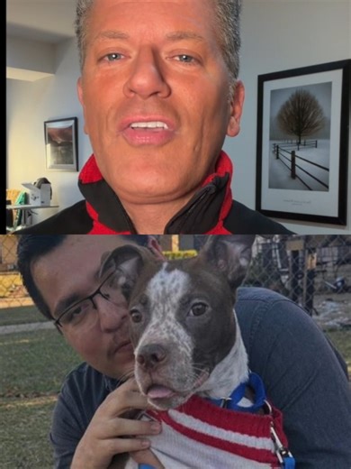 🐾 Rocky's Pup-date: From Ordeal to Forever Home! 🏠❤️ Weeks ago, we brought you the heart-wrenching story of Rocky, the dog who was "allegedly" brutally beaten with a metal baseball bat by Turkessa Blackmon. The community rallied, and Turkessa was arrested, though released the next day. What We Know: After the incident, Rocky escaped and was on the run for over a week. Despite the efforts of expert dog finders and the community, Rocky was found safe and sound in the neighborhood. What's Next: A