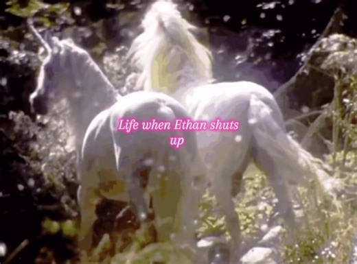 Exploring Mythical Unicorns and Their Cute Auras