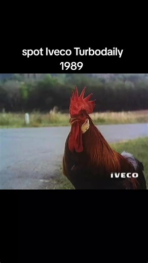 Iveco Turbodaily 1989: Classic Truck Spotlight