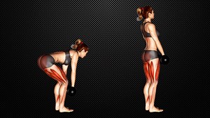 Romanian Dumbbell Deadlift: Target Hamstrings, Glutes & Core – Fitness Volt