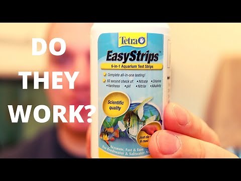 Tetra Easy Test Strips - Do They Work?