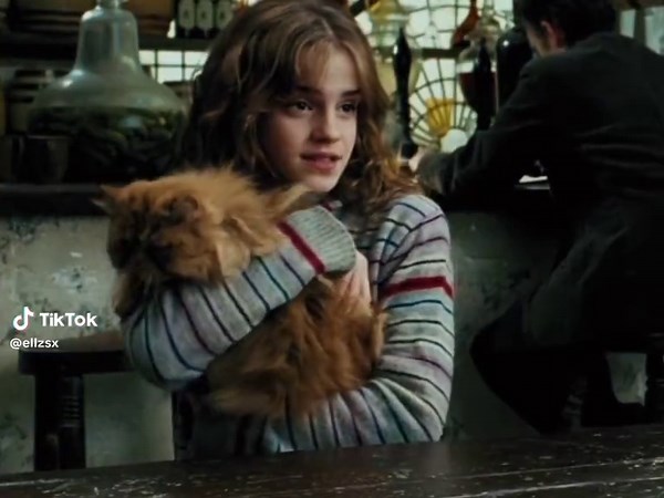 Cats in Film: Exploring Their Impact in Movies and Cinema