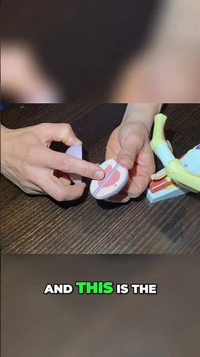 Prostate Health: What You NEED To Know