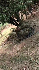 259K views · 611 reactions | She knew she should not have landscaped her lawn with banana peels. Funny Videos Want to be featured? Message us videos you filmed to be featured on the page! | Funny Videos | Facebook