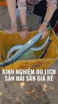 Kinh nghiệm săn hải sản giá rẻ khi đi du lịch