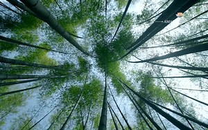 【纪录片BBC】美丽中国Amazing China 2