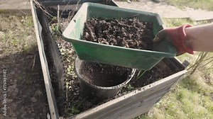 Sifting fresh compost. Separation soil and yet uncomposted parts. natural fertilizer Stock Video