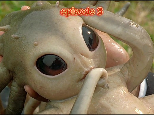 #movieclips #9kmovieclip #movie