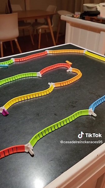 Hexbugs NASCAR Championship Race - Orange Tango Wins!