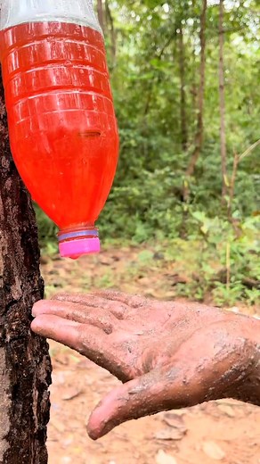 1.1K views | Survival Skills: Mom Shows How to Make Soap and Water in the Wilderness v #Camping #Survival #Skills #Outdoors #Ideas | Outdoor Hub | Facebook