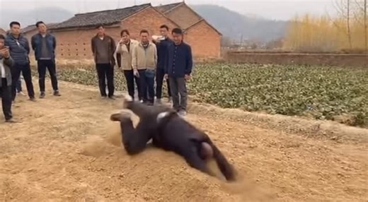 led.screen.17years on Instagram: "magic man led screen display #man #bar #leddisplay #billboard #party #resolution #design #panel #electronic #ledlighting #ledbillboard #stage #screen #ledtv #signal #ledwall #ledsign #display #wall #ledscreen #sign #ledscreen #led #lighting"