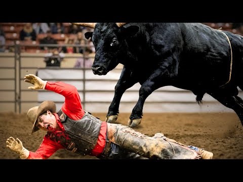 There Was No Recovery After This Ride (Bull Riding Wrecks)