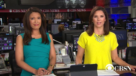 Cat wins competition, becomes manager of communications company