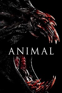 Animal Summary, Latest News, Trailer, Cast, Where to Watch and More