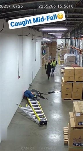 The Ladder Had Other Plans