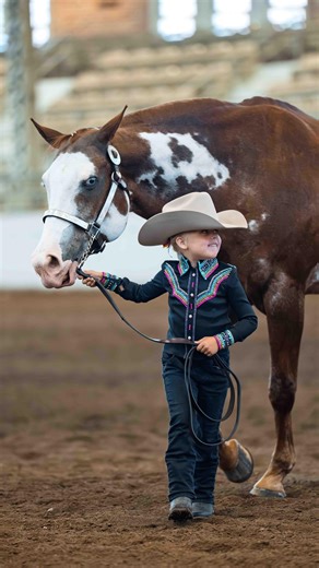 737 reactions · 45 shares | Western Horse Show Classes are on the Fairgrounds until July 6th! | Illinois State Fair | Facebook