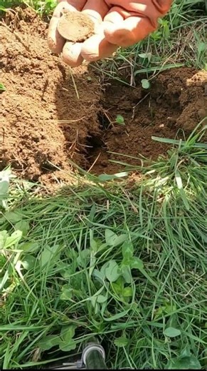 Short #188 - Be a sport and watch this video. Metal Detecting with the Nokta Makro Simplex.