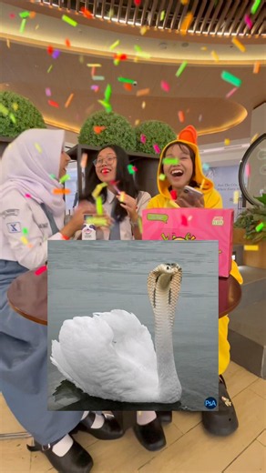 Guess the picture challenge🫵🏻👀 #justfluff #marshmallow #marshmallowjustfluff