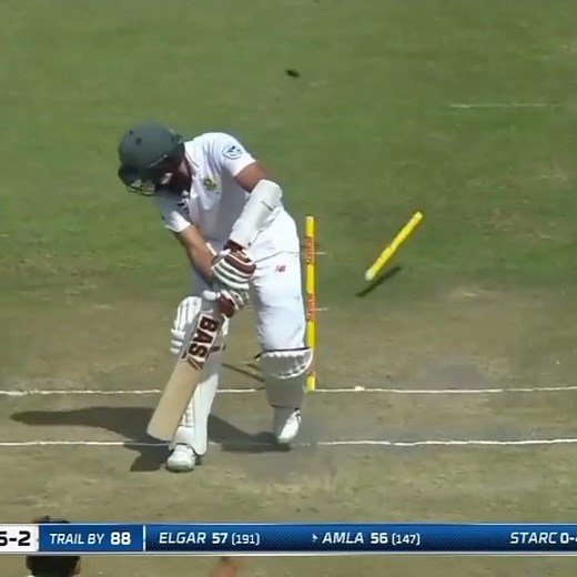 "Mitchell Starc Vs South Africa Best Bowleds 🔥