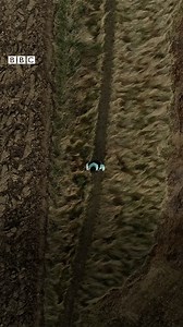 3.6K views · 29 reactions | "In 40 years time the field I'm standing won't be here". A farmer says he’s lost eight metres of land to the North Sea in recent days. | BBC East Yorkshire | Facebook