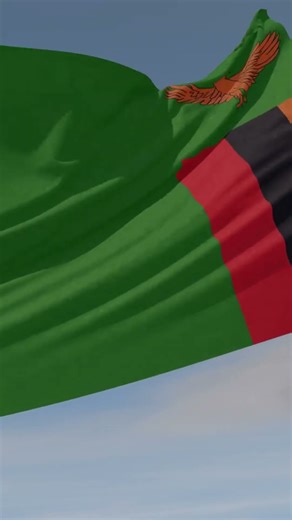 It’s Law: Zambia’s Amendment Explained in 50 Seconds #zambia #bill7 #leadership #africarising