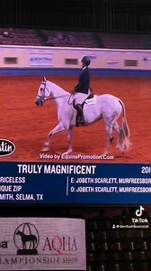 162K views · 7.5K reactions | AQHA WORLD SHOW!! It's been a couple of years since I have been here. But never disappoints!! It's the People and the horses. But mostly the Horses!! Can't wait to watch Denver show tonight!! Stay tuned!! | Running Springs QH & Cattle Co | Facebook