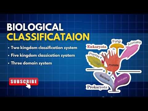 Five Kingdom Classification Class 9 | Five Kingdom System | Biological Classification Lecture