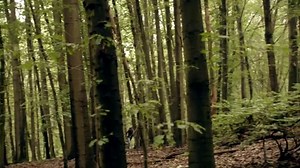 Cobra 11 19. évad 7. rész