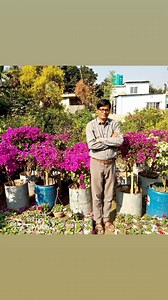 abdur Razzak pm (@abdur.razzak.pm)’s videos with original sound - Sujan chandra