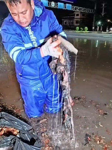Clear Clogged Drains After Heavy Rain | Debris & Plastic Removal