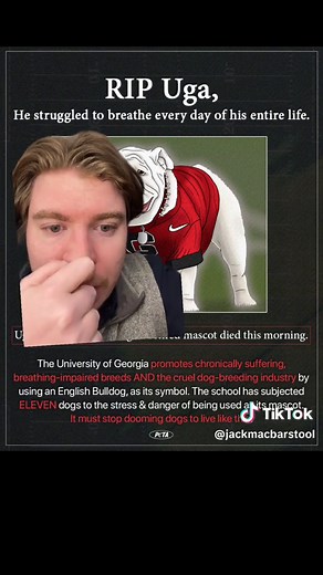 PETA got ratio’d for a wild tweet about Uga just a few hours after his death. May Georgia’s mascot rest in peace. He is in Dog heaven now!! #greenscreen