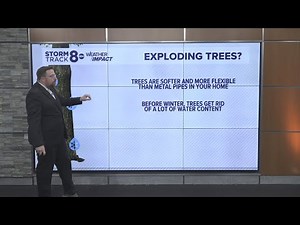Ask Andrew | Can trees explode from freezing during cold weather?