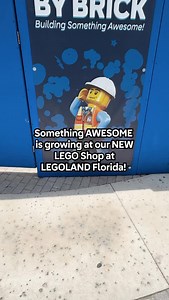 4.9K views · 98 reactions | Get a sneak peek and Step inside the NEW...