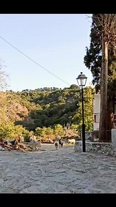 Sheeps at Ano Symi a village on Dikti mountains in Crete. | Crete
