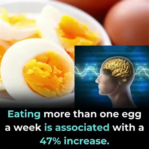 Proven Health Benefits of Eating Eggs Based on Evidence | K Line Global