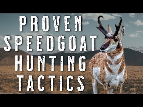 Pronghorn Antelope Hunting Tips - Public Land Strategies That Work to Kill More Bucks