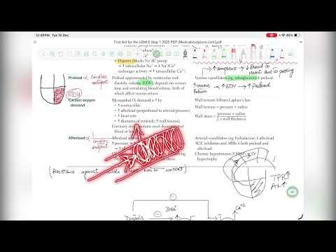 Cardiovascular system lecture 8 “After load”