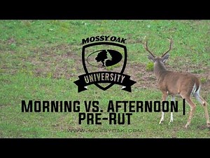 Pre Rut Hunting Tips | Morning vs. Evening