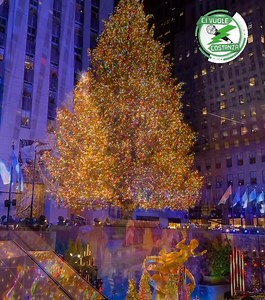 7.4K views · 52 reactions | L’Albero di Natale del Rockefeller...