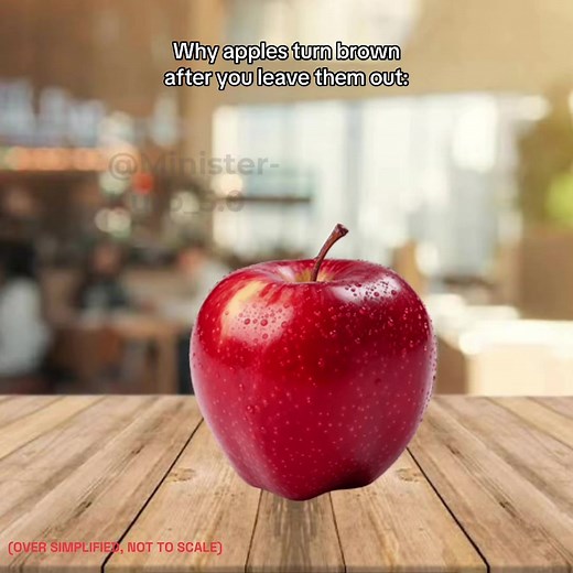Understanding Why Apples Turn Brown After Cutting