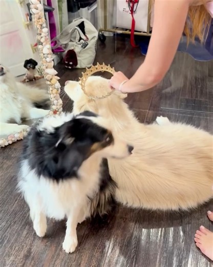 134K views · 147 reactions | Bella Thorne on Reels | Facebook