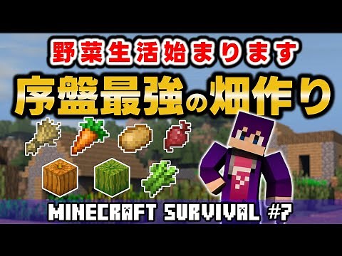 マイクラで序盤最強の畑はこれで決まり！サバイバル始めてすぐに作りたい畑の作り方を徹底解説します【マイクラJava解説】Part 7