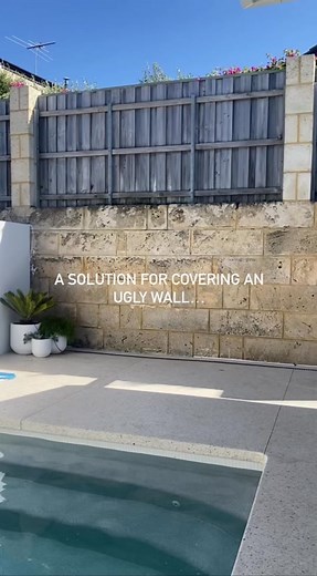 Here’s how we covered up our limestone wall using weatherboard! Because this is natural limestone the wall was not level or straight. To create a flat level surface and allow airflow between the limestone and weatherboards we cut treated pine posts to size using a circular saw. We then drilled and plugged the limestone wall where the posts were going. We packed the posts where required then glued and screwed the posts to the limestone wall. When fixing the first weatherboard to the posts we left